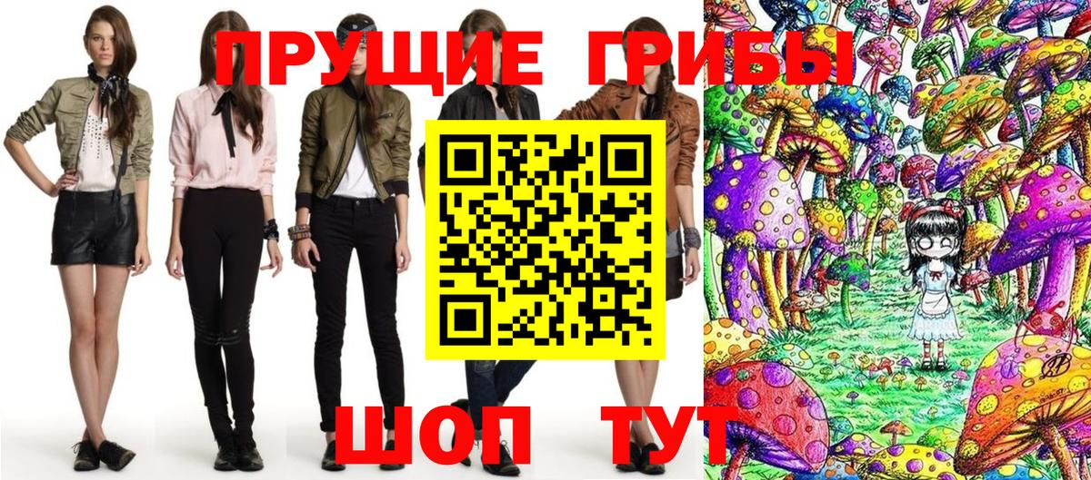 Троицк  Псилоцибиновые грибы Cubensis  Вход с VPN 